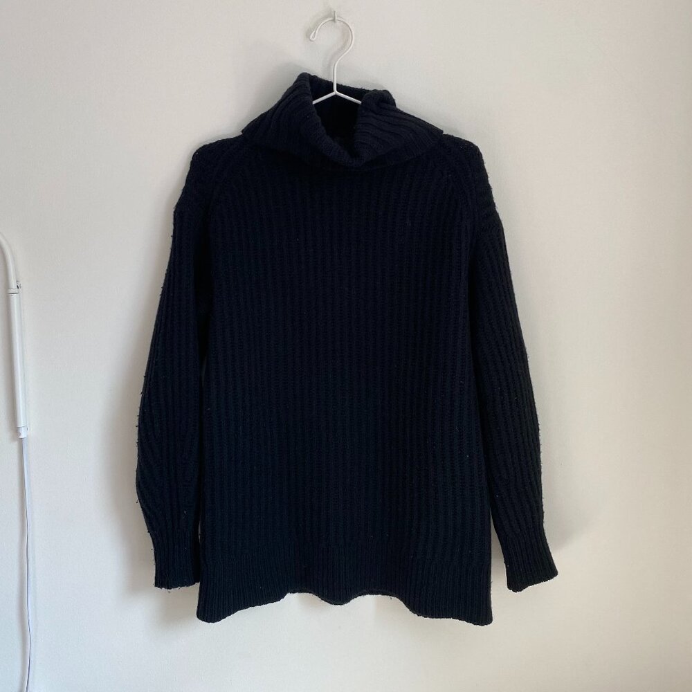 Everlane Wool Knit Turtleneck Sweater Chunky
